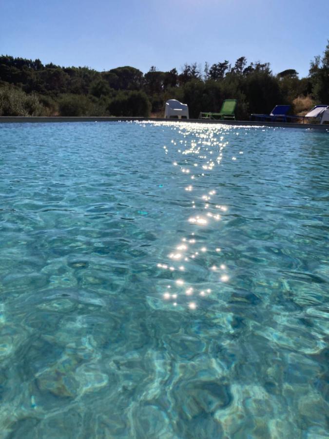 Agriturismo Is Conchisceddas Gonnosfanàdiga 外观 照片