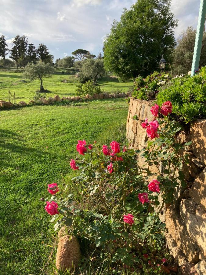 Agriturismo Is Conchisceddas Gonnosfanàdiga 外观 照片