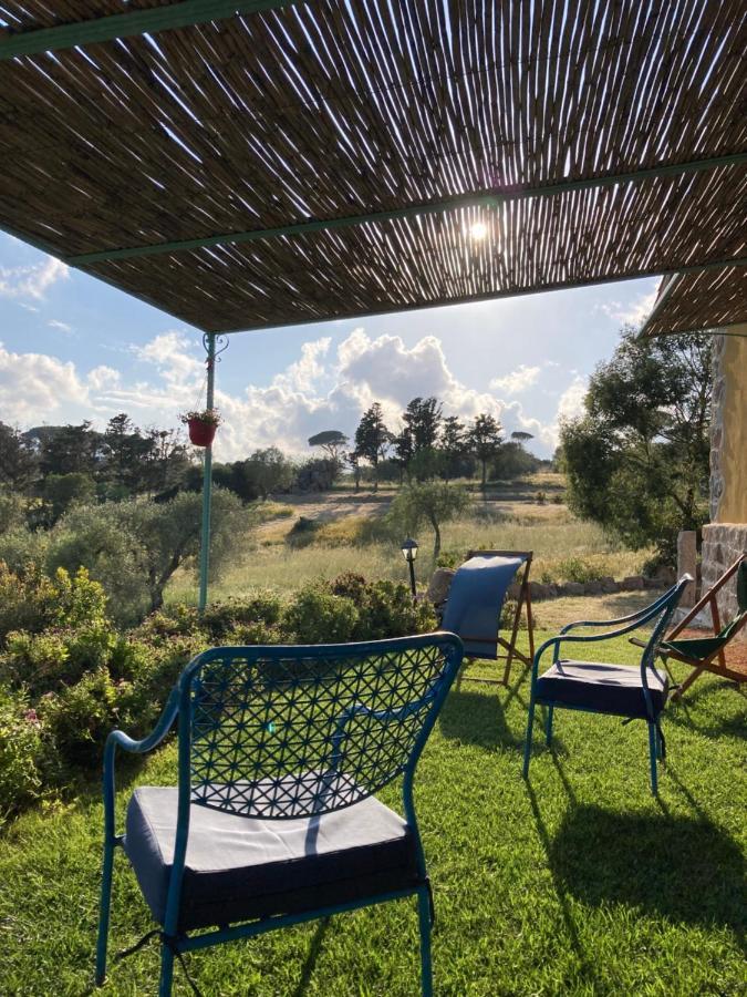Agriturismo Is Conchisceddas Gonnosfanàdiga 外观 照片