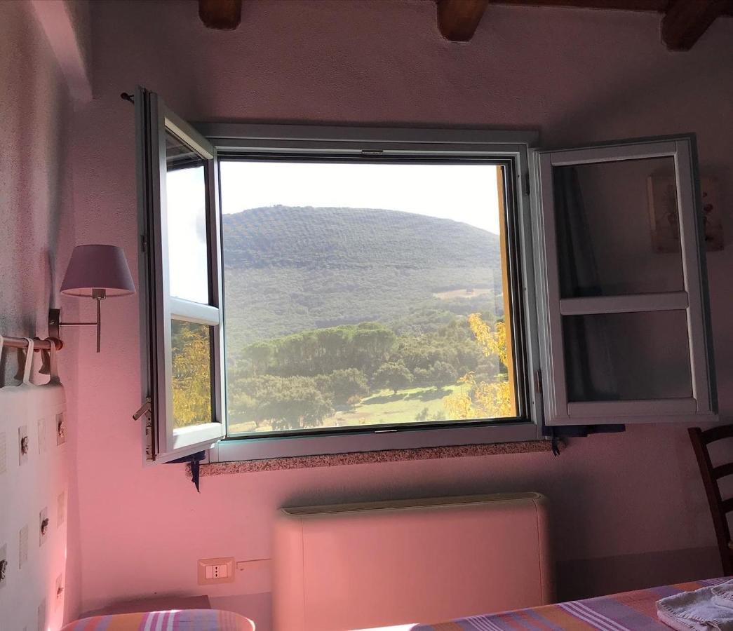 Agriturismo Is Conchisceddas Gonnosfanàdiga 外观 照片