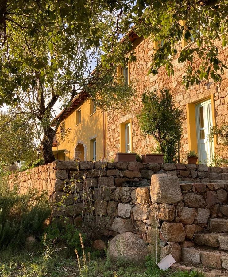 Agriturismo Is Conchisceddas Gonnosfanàdiga 外观 照片