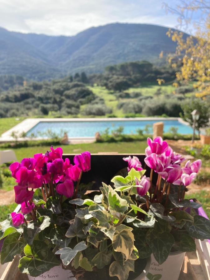 Agriturismo Is Conchisceddas Gonnosfanàdiga 外观 照片