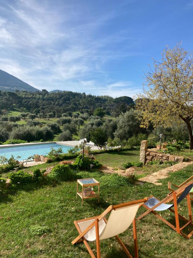 Agriturismo Is Conchisceddas Gonnosfanàdiga 外观 照片