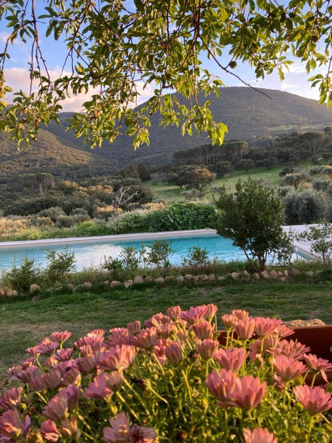 Agriturismo Is Conchisceddas Gonnosfanàdiga 外观 照片