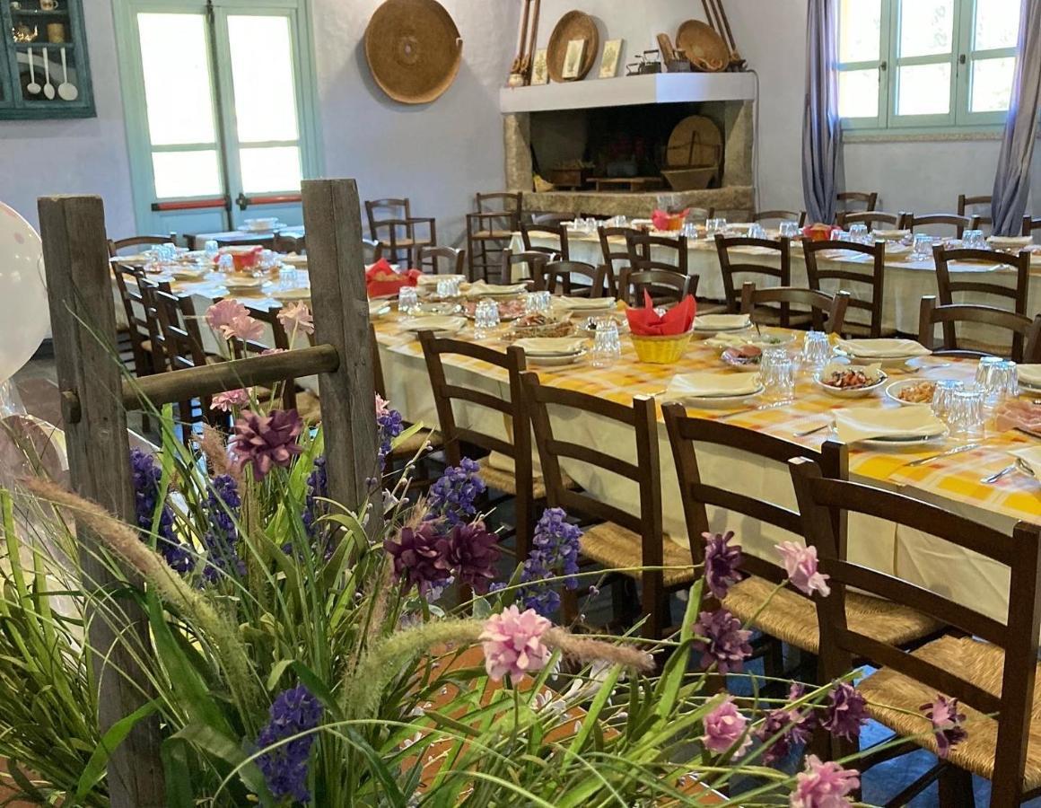 Agriturismo Is Conchisceddas Gonnosfanàdiga 外观 照片