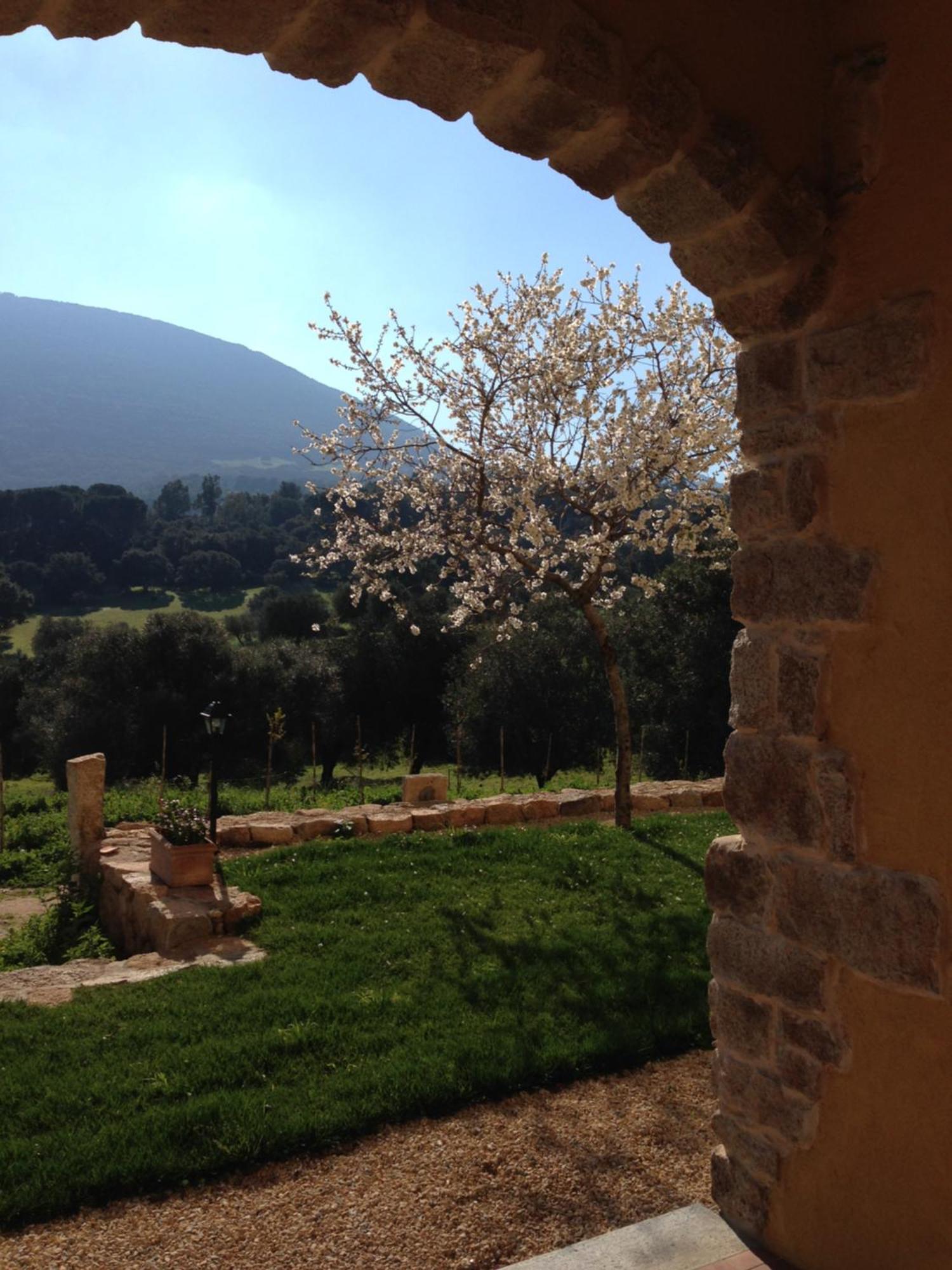 Agriturismo Is Conchisceddas Gonnosfanàdiga 外观 照片
