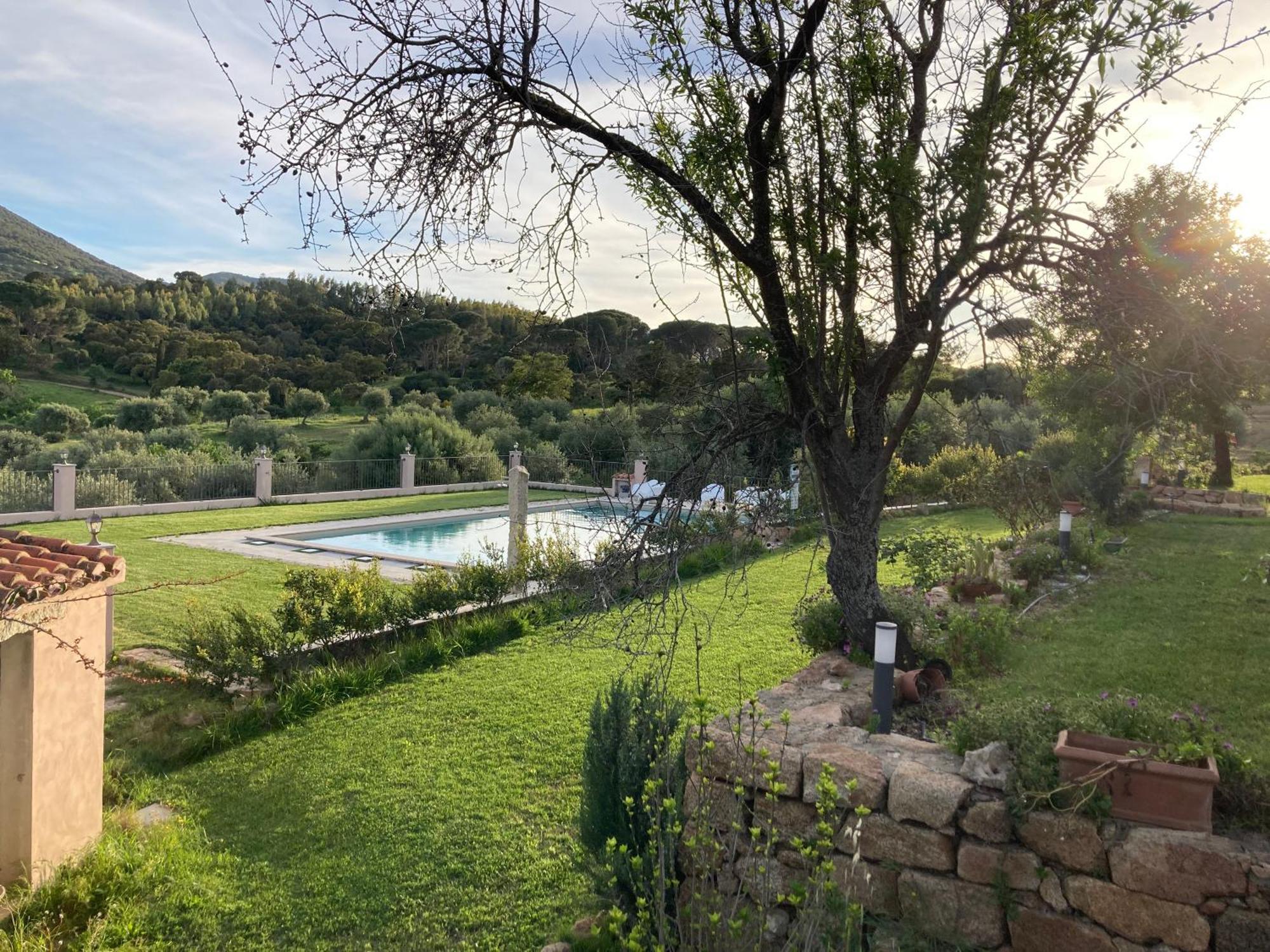 Agriturismo Is Conchisceddas Gonnosfanàdiga 外观 照片