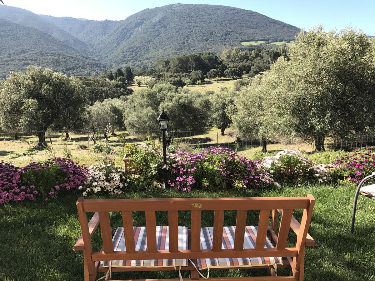 Agriturismo Is Conchisceddas Gonnosfanàdiga 外观 照片