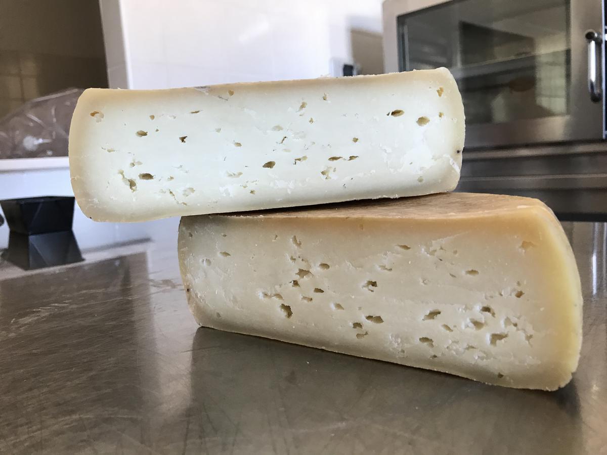 Agriturismo Is Conchisceddas Gonnosfanàdiga 外观 照片