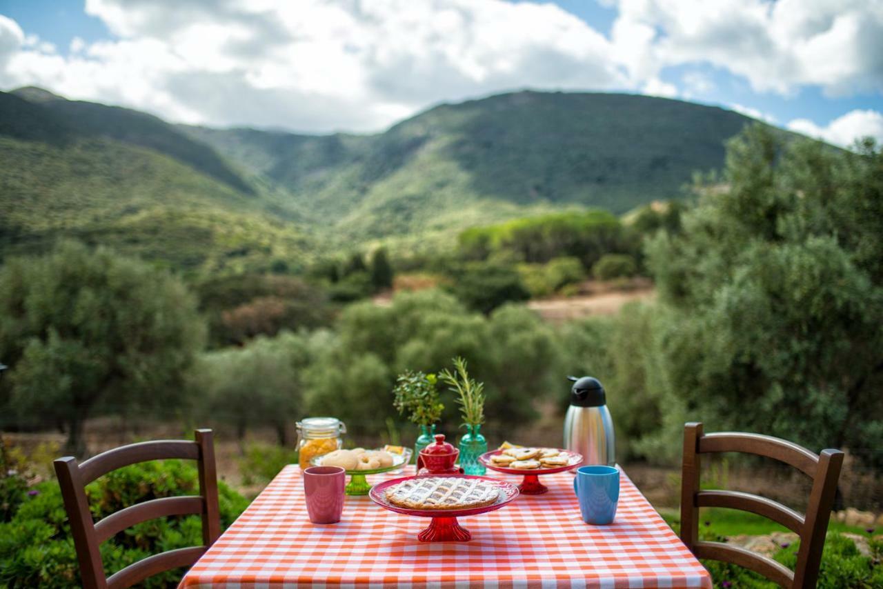Agriturismo Is Conchisceddas Gonnosfanàdiga 外观 照片