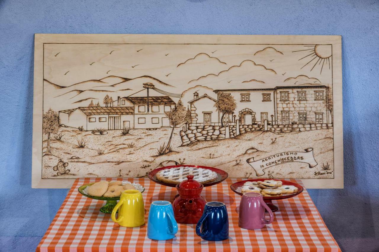 Agriturismo Is Conchisceddas Gonnosfanàdiga 外观 照片