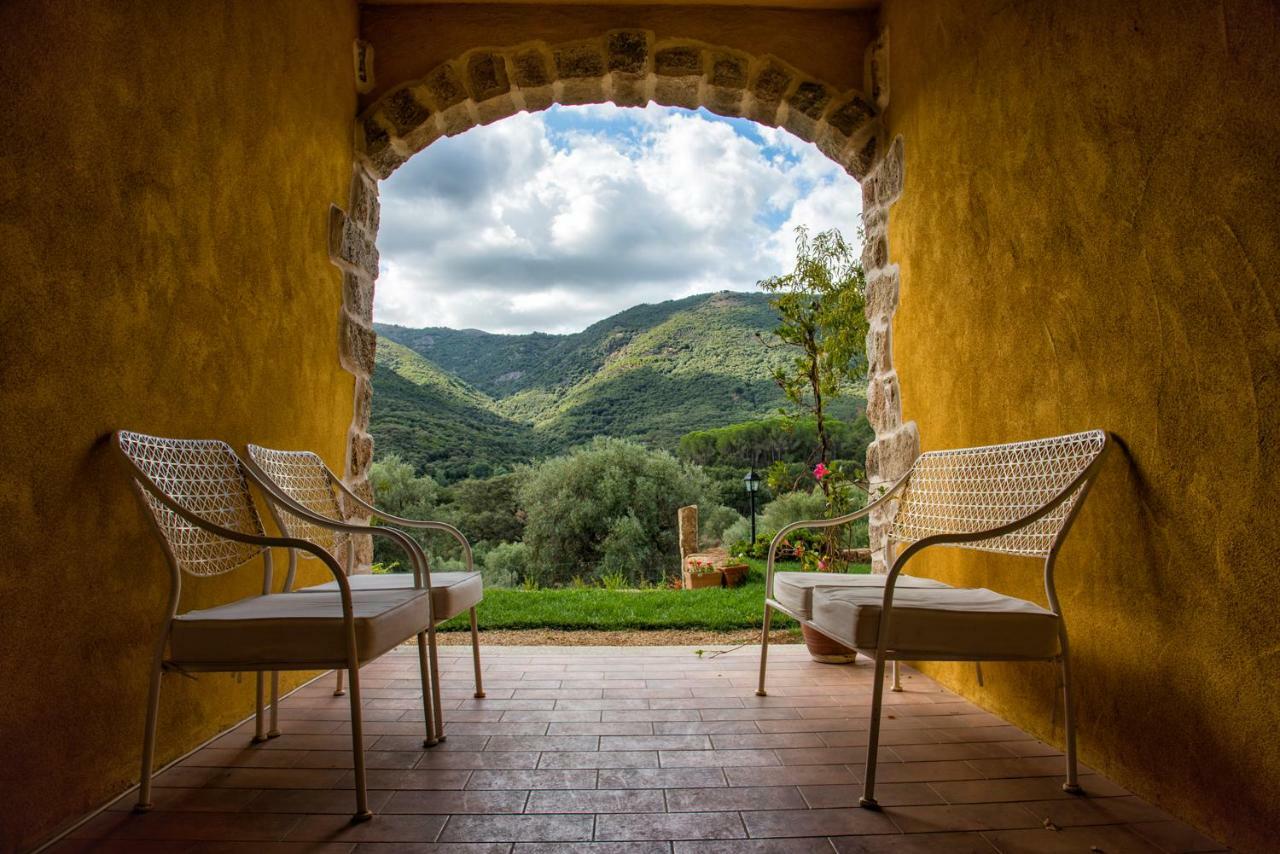 Agriturismo Is Conchisceddas Gonnosfanàdiga 外观 照片