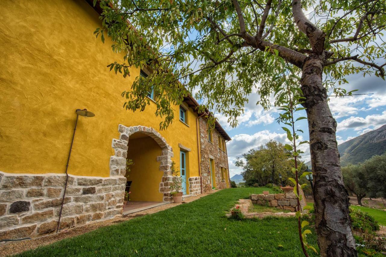 Agriturismo Is Conchisceddas Gonnosfanàdiga 外观 照片