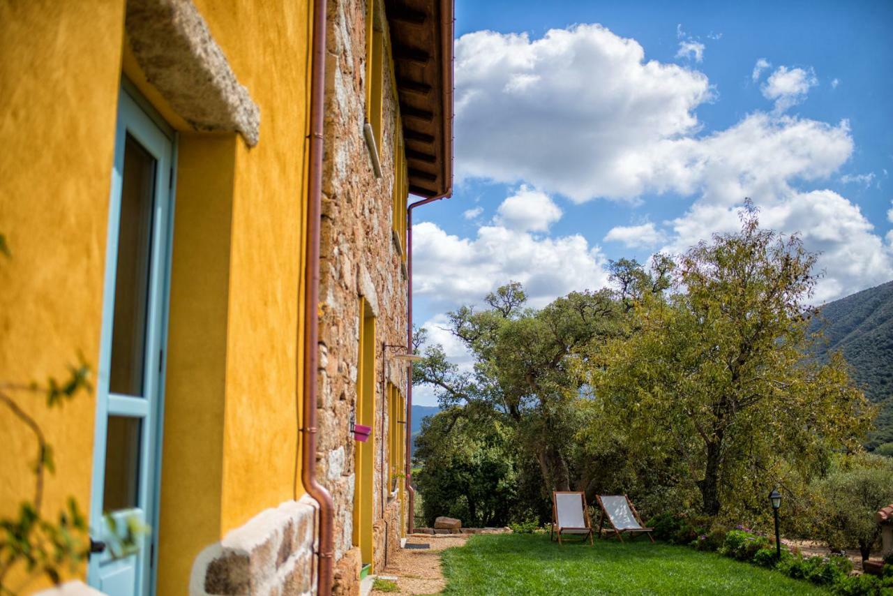 Agriturismo Is Conchisceddas Gonnosfanàdiga 外观 照片