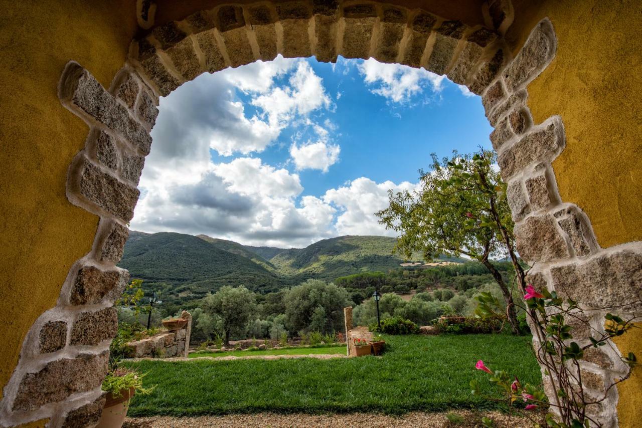 Agriturismo Is Conchisceddas Gonnosfanàdiga 外观 照片