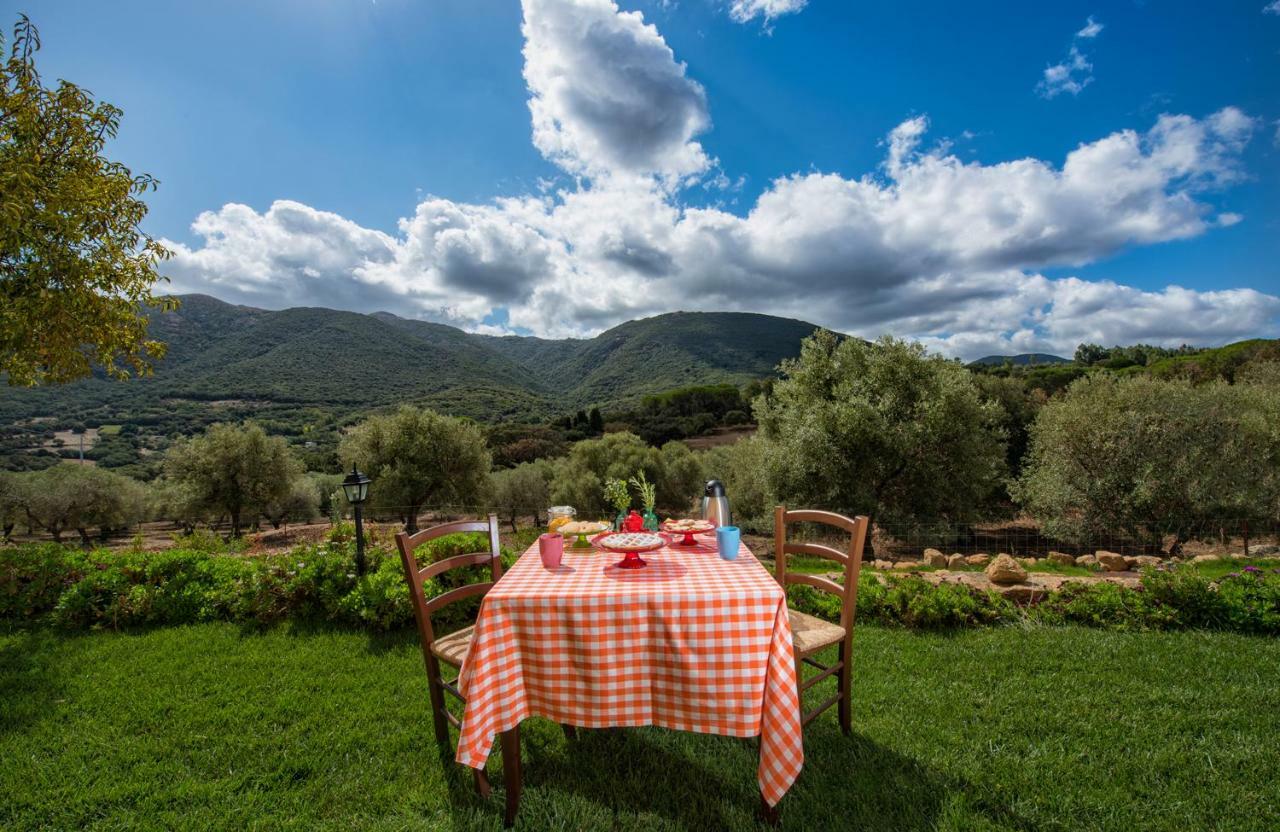 Agriturismo Is Conchisceddas Gonnosfanàdiga 外观 照片