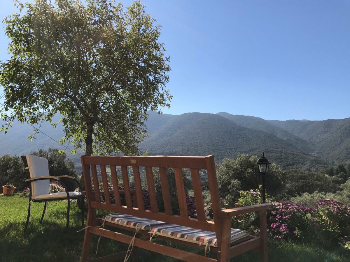 Agriturismo Is Conchisceddas Gonnosfanàdiga 外观 照片
